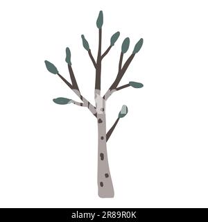 Hand drawn vector birch tree icon. Doodle Scandinavian style illustration isolated on white background. Cute element for design Stock Vector
