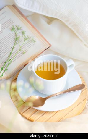 Tea cup next to book and leaves. Relax moment. Stock Photo