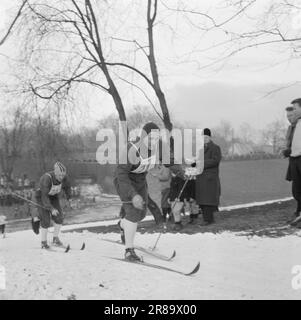 Current 3-5-1960: Long trail to the top Since he was a little boy, Einar Østby (no. 33) has set himself the Olympics as his goal. He knows the price of the places near Sixten Jernberg (No. 28). In the Monolith race, Østby secured a place on the Olympic team.  Photo: Ivar Aaserud / Aktuell / NTB ***PHOTO NOT IMAGE PROCESSED*** Stock Photo