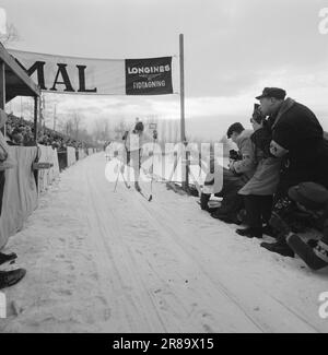 Current 3-5-1960: Long trail to the top Since he was a little boy, Einar Østby (no. 33) has set himself the Olympics as his goal. He knows the price of the places near Sixten Jernberg (No. 28). In the Monolith race, Østby secured a place on the Olympic team.  Photo: Ivar Aaserud / Aktuell / NTB ***PHOTO NOT IMAGE PROCESSED*** Stock Photo