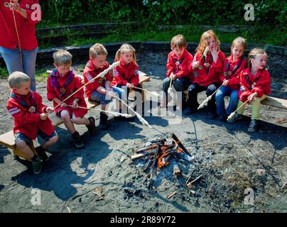 Netherlands - Scouting is popular with children and the youngest are called Beavers. Under the guidance of an akela, bread is baked here over a campfi Stock Photo