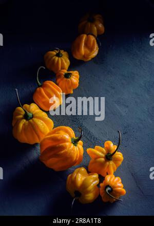 fresh yellow peppers on blue background Stock Photo