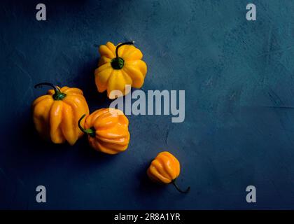 fresh yellow peppers on blue background Stock Photo