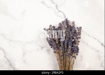 Top view of lavender flowers on white background. Lavender bouquet flat lay. Copy space. Stock Photo