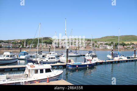 Campbeltown marina Stock Photo