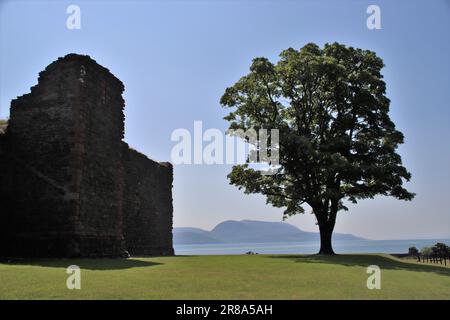 Tree and Skipness Castle Stock Photo