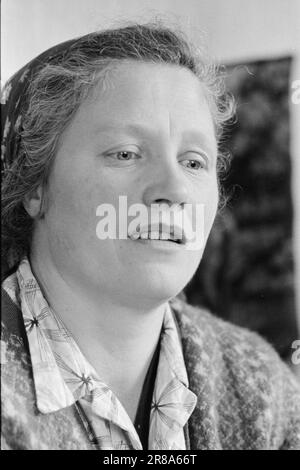 Current 51-3-1960: As the day, so the strength Johanna Hildenes in Nordfjordeid looks after an invalid husband and five children. At the same time, she runs a small farm with new cuttings and a fur farm.  Photo: Ivar Aaserud / Aktuell / NTB ***PHOTO NOT IMAGE PROCESSED*** Stock Photo