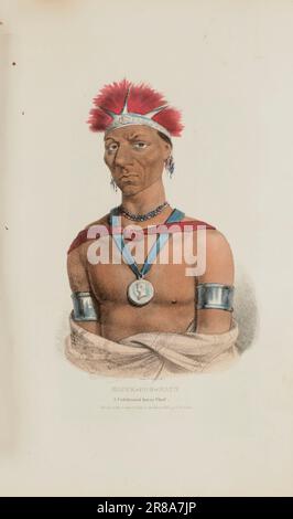 MAUCK-COOMAUN; A Celebrated Ioway Chief, from The Aboriginal Portfolio 1835 by James Otto Lewis, born Philadelphia, PA 1799-died New York City 1858 Stock Photo