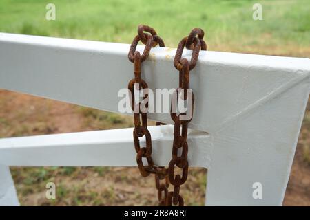 The rusty chain on a white gate Stock Photo