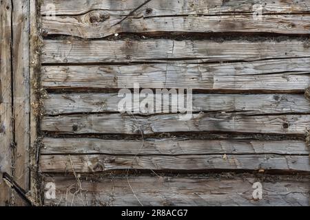 Old wooden wall with moss sealing, close-up background photo texture, front view Stock Photo