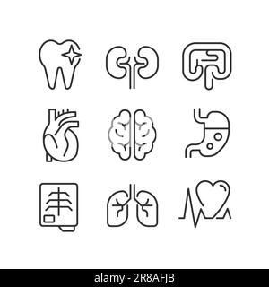 Organs regular checkup pixel perfect linear icons set Stock Vector