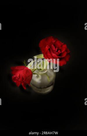 two red roses in a vase, top down view Stock Photo
