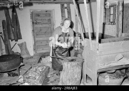 Current 51-3-1960: As the day, so the strength Johanna Hildenes in Nordfjordeid looks after an invalid husband and five children. At the same time, she runs a small farm with new cuttings and a fur farm.  Photo: Ivar Aaserud / Aktuell / NTB ***PHOTO NOT IMAGE PROCESSED*** Stock Photo