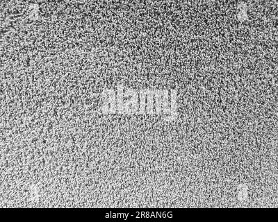 long haired carpet texture background full frame, gray carpeting with long pile, rug Stock Photo