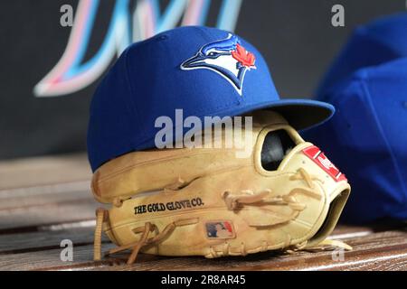Toronto Blue Jays bench coach Don Mattingly looks from the dugout as he is  introduced during the first inning of a baseball game against the Miami  Marlins, Monday, June 19, 2023, in