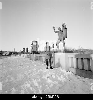 Current 3-5-1960: Long trail to the top Since he was a little boy, Einar Østby (no. 33) has set himself the Olympics as his goal. He knows the price of the places near Sixten Jernberg (No. 28). In the Monolith race, Østby secured a place on the Olympic team.  Photo: Ivar Aaserud / Aktuell / NTB ***PHOTO NOT IMAGE PROCESSED*** Stock Photo