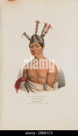 WAA-KAUN-SEE-KAA or the Rattle Snake; A Winnebago Chief, from The ...