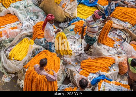 Marigold garlands for sale at the Mallick Ghat Flower Market in Kolkata, India Stock Photo