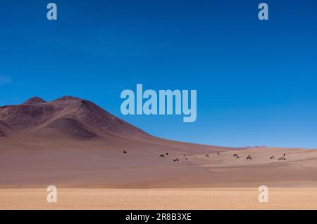 Picturesque Salvador Dali Desert, just one natural sight while traveling the scenic lagoon route through the Bolivian Altiplano in South America Stock Photo