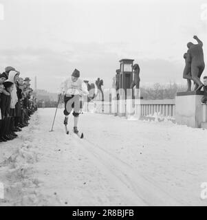 Current 3-5-1960: Long trail to the top Since he was a little boy, Einar Østby (no. 33) has set himself the Olympics as his goal. He knows the price of the places near Sixten Jernberg (No. 28). In the Monolith race, Østby secured a place on the Olympic team.  Photo: Ivar Aaserud / Aktuell / NTB ***PHOTO NOT IMAGE PROCESSED*** Stock Photo