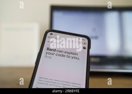Google Bard AI chatbot app on smartphone Stock Photo