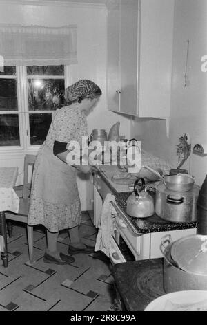 Current 51-3-1960: As the day, so the strength Johanna Hildenes in Nordfjordeid looks after an invalid husband and five children. At the same time, she runs a small farm with new cuttings and a fur farm.  Photo: Ivar Aaserud / Aktuell / NTB ***PHOTO NOT IMAGE PROCESSED*** Stock Photo