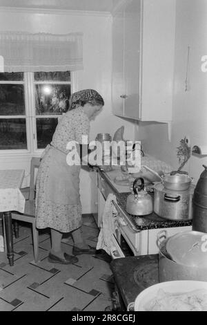 Current 51-3-1960: As the day, so the strength Johanna Hildenes in Nordfjordeid looks after an invalid husband and five children. At the same time, she runs a small farm with new cuttings and a fur farm.  Photo: Ivar Aaserud / Aktuell / NTB ***PHOTO NOT IMAGE PROCESSED*** Stock Photo