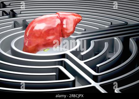 Human liver with gallbladder inside dark labyrinth, 3D rendering Stock Photo