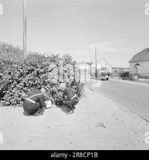 Current 30-5-1960: The speeding death grins behind the wheel. Huge car colossuses, like locomotives, race through the densely populated areas along the roads. The traffic police are constantly on the lookout and monitors heavy transport with radar.  Photo: Ivar Aaserud / Aktuell / NTB ***PHOTO NOT IMAGE PROCESSED*** Stock Photo