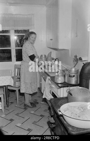 Current 51-3-1960: As the day, so the strength Johanna Hildenes in Nordfjordeid looks after an invalid husband and five children. At the same time, she runs a small farm with new cuttings and a fur farm.  Photo: Ivar Aaserud / Aktuell / NTB ***PHOTO NOT IMAGE PROCESSED*** Stock Photo