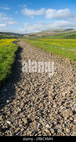 Dried up riverbed in Kingsdale, a limestone valley on the western edge of the Yorkshire Dales National Park, UK. Stock Photo