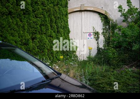 An overgrown garage door with a no parking sign. Stock Photo