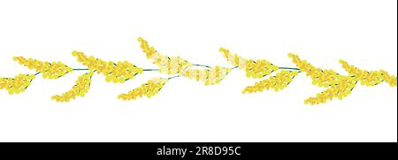 Mimosa yellow horizontal border seamless pattern. Floral seamless border Stock Vector