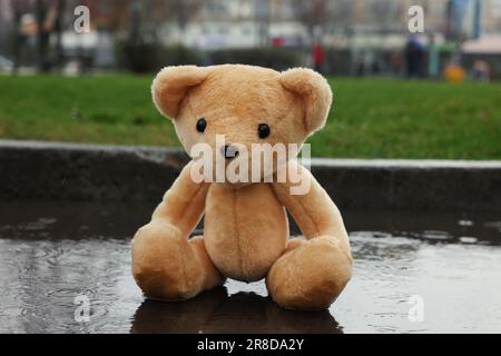 Lonely teddy bear in puddle on rainy day Stock Photo