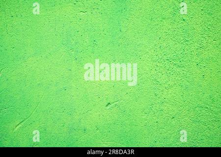 perfect light green empty background Stock Photo
