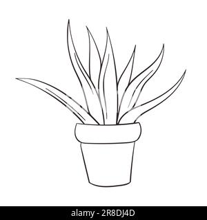 Agave vector icon. House plant symbol line art vector sign isolated on white background. Simple vector illustration for graphic and web design. Stock Vector