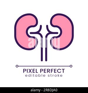 Kidneys pixel perfect RGB color icon Stock Vector
