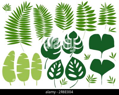 tropical exotic plants leaves set Stock Vector Image & Art - Alamy