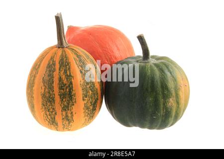 three different pumpkins isolated on the white background Stock Photo