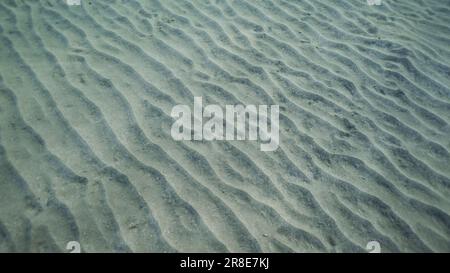 Sandy Bottom Covered With Sand Hills Natural Background From The sandy-bottom-covered-with-sand-hills-natural-background-from-the
