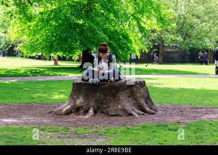 LONDON, GREAT  BRITAIN - MAY 12, 2014: An unidentified young woman sits on a huge stump in one of the city parks. Stock Photo