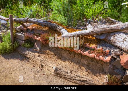 Cob wall with nesting material for wild bees in natural garden surrounded by wild flowers, wasp holes in a mud wall Stock Photo