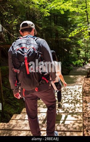 Hikers with backpack walking in a mountain forest path in summer time. Hiker, backpacker in a park. Diverse couple with backpacks trekking in wilderne Stock Photo