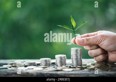 The green plant grow on coin stack is a business growth concept. The hand that is holding coin tree with some natural background is shown the business Stock Photo