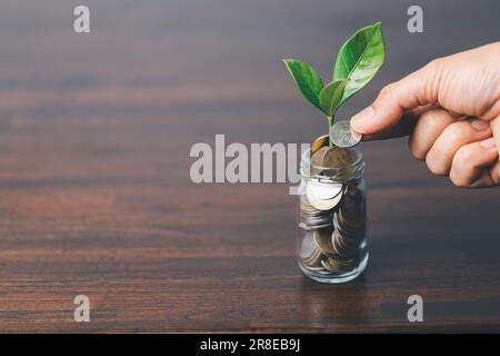 The green plant grow on coin stack is a business growth concept. The hand that is holding coin tree with some natural background is shown the business Stock Photo