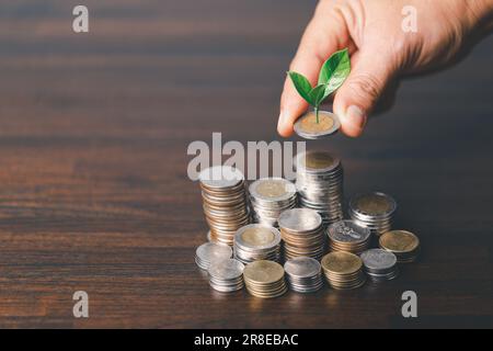 The green plant grow on coin stack is a business growth concept. The hand that is holding coin tree with some natural background is shown the business Stock Photo