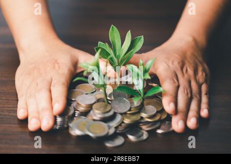 The green plant grow on coin stack is a business growth concept. The hand that is holding coin tree with some natural background is shown the business Stock Photo