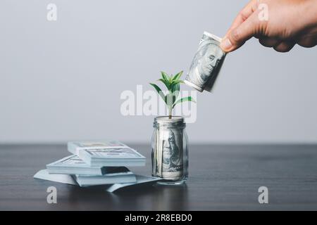 The green plant grow on coin stack is a business growth concept. The hand that is holding coin tree with some natural background is shown the business Stock Photo