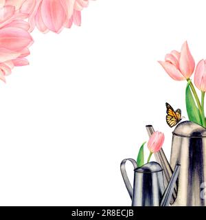 Watercolour drawn pictire of metal watering cans with beautiful pink tulip flowers in them, butterfy and tulip heads on white background. Perfect for Stock Photo