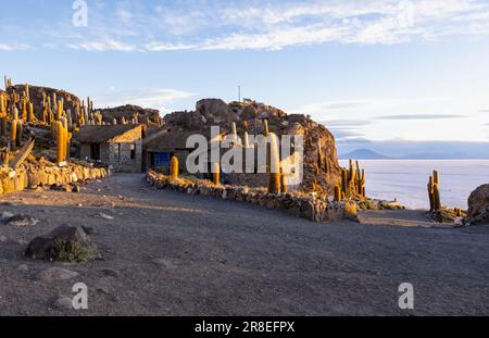 Isla Incahuasi at sunset with view on the biggest salt lake in the world, the Salar de Uyuni in the Bolivian highlands, the Altiplano in South America Stock Photo